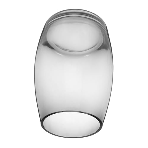 Toddmomy Terrarium Für Moospflanzen Transparent Glaspflanzenhalter Mikrolandschaftsglas Glas Desktop Terrarium Tabletop Betta Tank von Toddmomy