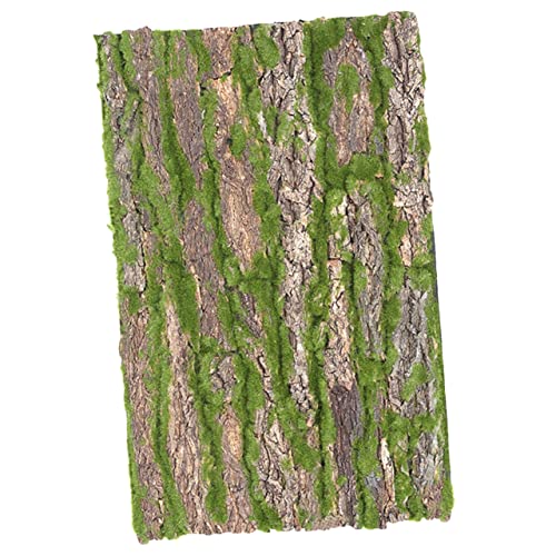 Toddmomy Terrarium Korkrinde für Reptilien Natürliche Deko Klettermatte für Schildkröten Bartagame Langlebig Pflegeleicht von Toddmomy