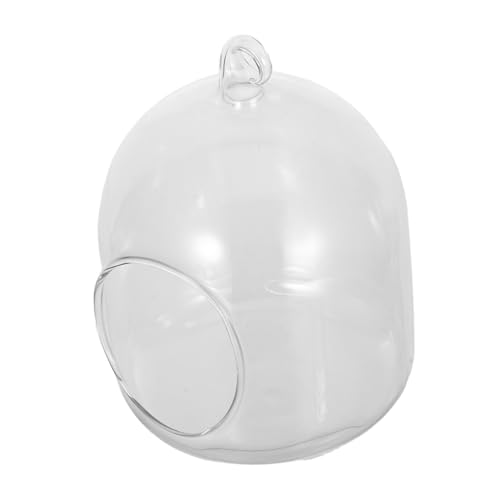 Toddmomy Terrarium Pflanzgefäß Dekoratives Mini Moos Terrarium für Büro Kompakter Pflanzentopf für Tischdekoration Pflegeleichtes Micro Landschaftsglas für Moderne Wohnkultur von Toddmomy