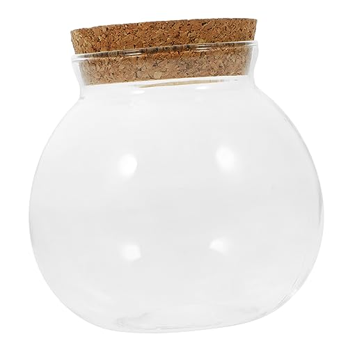 Toddmomy Moospflanze Flasche Glas Landschaft Flasche Dekorative Landschaftsbau Container Toddmomy Moospflanze Flasche Glas Landschaft Flasche Dekorative Landschaftsbau Container von Toddmomy