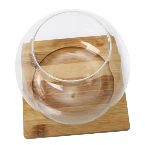 Toddmomy Transparente Micro Landschaft Glasflasche mit Bambusuntersetzer Runde Öffnung Glatte Oberfläche für DIY Moos Kleine Dekorationen und Badezimmer Ökologisches Flaschengarten Toddmomy Transparente Micro Landschaft Glasflasche mit Bambusuntersetzer Runde Öffnung Glatte Oberfläche für DIY Moos Kleine Dekorationen und Badezimmer Ökologisches Flaschengarten von Toddmomy