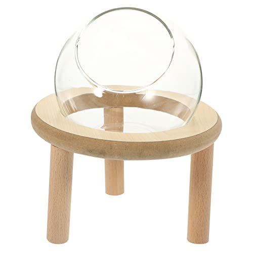 Toddmomy Transparente Sandbadewanne für Kleine Haustiere Hamster Badewanne mit Glatten Kanten für Haustierpflege und Material für Sicheres und Beobachten Toddmomy Transparente Sandbadewanne für Kleine Haustiere Hamster Badewanne mit Glatten Kanten für Haustierpflege und Material für Sicheres und Beobachten von Toddmomy