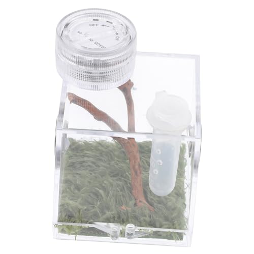 Toddmomy Transparente Spinnenhabitat Box Mit Spinnenkäfig Für Florida Springspinne Teiliges Für Haltung Und Pflege Kleiner Haustiere von Toddmomy
