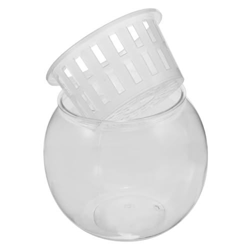 Toddmomy Transparentes Aquarium aus Kunststoff Kleiner Fischbehälter für Hydroponik Dekoration für Pflanzen und Fische und Elegant für Tischdekoration von Toddmomy