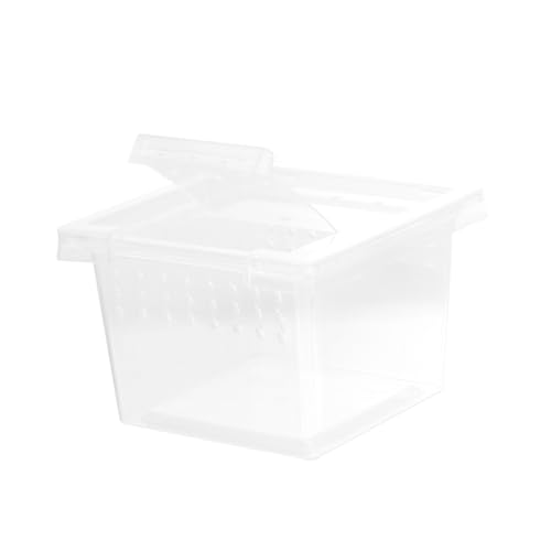 Toddmomy Transparentes Insektenzucht und Fütterungsboxset für Reptilien Lizard Spinnen und Praktische Zuchtbox aus Langlebigem Kunststoff für Außenanwendungen und Einfache von Toddmomy