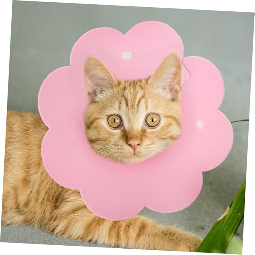 Toddmomy Verstellbarer Katzenhalsband Schutzkragen mit Weichem Filz und Komfortabel und Leicht Verhindert Lecken und Unterstützt Genesung nach Operationen Passend für Kleine Katzen Rosa Toddmomy Verstellbarer Katzenhalsband Schutzkragen mit Weichem Filz und Komfortabel und Leicht Verhindert Lecken und Unterstützt Genesung nach Operationen Passend für Kleine Katzen Rosa von Toddmomy