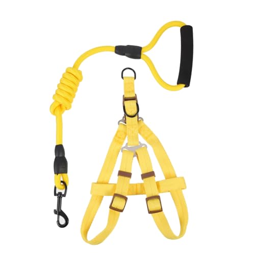 Toddmomy Verstellbares Hundegeschirr mit Nylon Leine für Welpen und Hunde Strapazierfähiges Flexibles Brustgeschirr mit Leine für Sicheres Hundespaziergang zubehör Toddmomy Verstellbares Hundegeschirr mit Nylon Leine für Welpen und Hunde Strapazierfähiges Flexibles Brustgeschirr mit Leine für Sicheres Hundespaziergang zubehör von Toddmomy