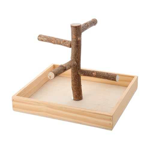Toddmomy Vogel Barsch Stand für Papageien Tischplatte mit Trainingsstation für Käfig Fördert Fußübungen und Sicheres für Haustier Toddmomy Vogel Barsch Stand für Papageien Tischplatte mit Trainingsstation für Käfig Fördert Fußübungen und Sicheres für Haustier von Toddmomy