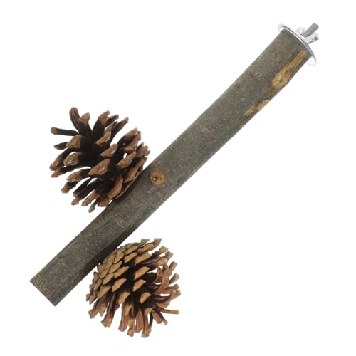 Toddmomy Papageien Sitzstange Aus Holz Mit Kiefernzapfen Sicherer Kauspielzeug Vögel Perch Spielzeug Für Kleine Vögel Und Sittiche Schutz Und Unterhaltung Für Haustierpapageien Toddmomy Papageien Sitzstange Aus Holz Mit Kiefernzapfen Sicherer Kauspielzeug Vögel Perch Spielzeug Für Kleine Vögel Und Sittiche Schutz Und Unterhaltung Für Haustierpapageien von Toddmomy