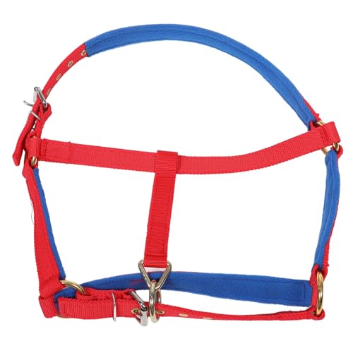 Toddmomy Zaum pferdezubehör Geschirr für Pferdehalfter Geflochtenes PP-Band rot Toddmomy Zaum pferdezubehör Geschirr für Pferdehalfter Geflochtenes PP-Band rot von Toddmomy