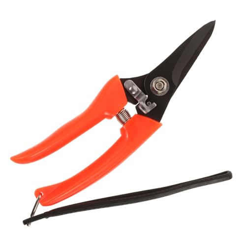 Toddmomy Ziegen Hufschneider aus Kohlenstoffstahl Langlebiges Hufpflege Tool mit Klingen für Ziegen Schafe und Rinder für Tierpflege im Garten Toddmomy Ziegen Hufschneider aus Kohlenstoffstahl Langlebiges Hufpflege Tool mit Klingen für Ziegen Schafe und Rinder für Tierpflege im Garten von Toddmomy