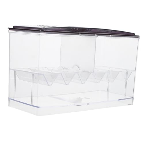 Toddmomy Zuchtbox Aquariumbreeding Box mit Abnehmbarer Trennwand Transparent Mehrfach Nutzbar mit Ablauföffnung als Fischisolator und Brutkasten für Aquarien Zubehör von Toddmomy