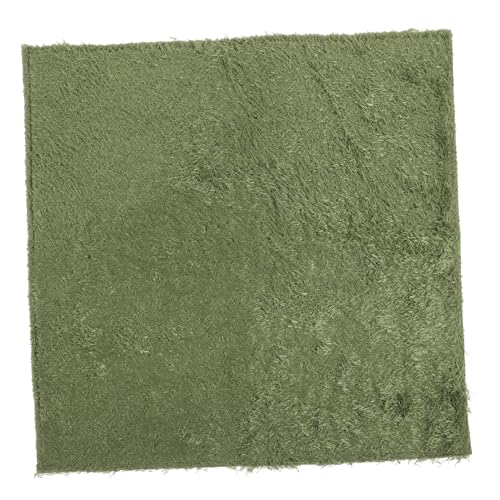 Toddmomy gefälschter Rasen Reptiliensubstratteppich Terrarium Wurf Grasteppich flurteppich erdungsmatte Reptilienzubehör Reptilienteppich für Terrarien Schwamm Light Green Toddmomy gefälschter Rasen Reptiliensubstratteppich Terrarium Wurf Grasteppich flurteppich erdungsmatte Reptilienzubehör Reptilienteppich für Terrarien Schwamm Light Green von Toddmomy