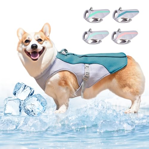 Kühlweste Hunde, 2025 Neu Kühlweste für Hundes mit Reflektierenden Streifen, Hundekühlwesten Atmungsaktive Kühlmantel Kühljacke Hunde Sonnenschutz kühlung Sommer (Blau, L) von Toerjii
