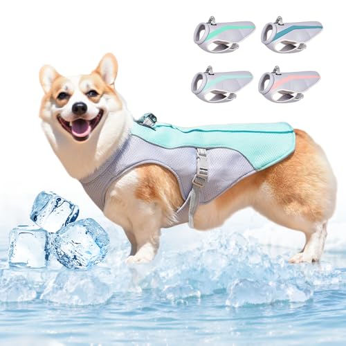 Kühlweste Hunde, 2025 Neu Kühlweste für Hundes mit Reflektierenden Streifen, Hundekühlwesten Atmungsaktive Kühlmantel Kühljacke Hunde Sonnenschutz kühlung Sommer (Grün, S) von Toerjii