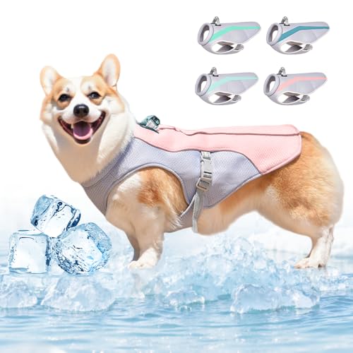 Kühlweste Hunde, 2025 Neu Kühlweste für Hundes mit Reflektierenden Streifen, Hundekühlwesten Atmungsaktive Kühlmantel Kühljacke Hunde Sonnenschutz kühlung Sommer (Rosa, M) von Toerjii
