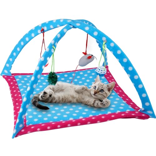 Tofern Katzenspielmatte Mit Spielzeug - Interaktive Faltbare Hängematte Und Bett - Waschbares Sofa für Kleine Tiere, Zebra (61x61x34cm) von Tofern