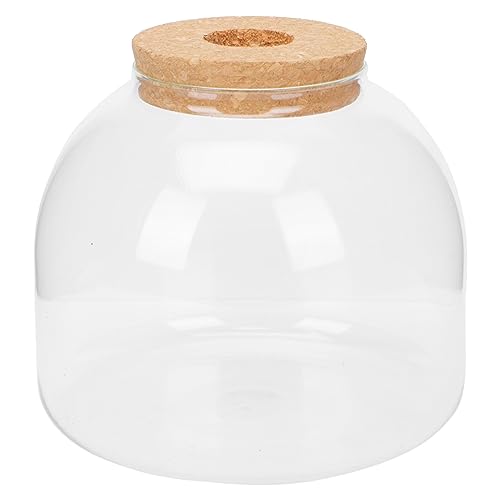 Tofficu 1 Satz Ökologische Mikrolandschaftsflasche Terrarienflasche Aus Glas Terrarienkugeln Aus Glas Pflanzenterrarium Pflanzer Terrarium Dekorative Flasche Anlage Hölzern Tofficu 1 Satz Ökologische Mikrolandschaftsflasche Terrarienflasche Aus Glas Terrarienkugeln Aus Glas Pflanzenterrarium Pflanzer Terrarium Dekorative Flasche Anlage Hölzern von Tofficu