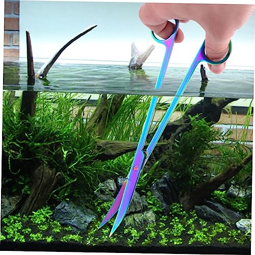 Tofficu Aquarium Pflanzenschere Wasserpflanzen Trimmer Scharf Robust für Kleine Aquarien Öffnungen Präzise Schnittfreundlich Einfache Langlebig Tofficu Aquarium Pflanzenschere Wasserpflanzen Trimmer Scharf Robust für Kleine Aquarien Öffnungen Präzise Schnittfreundlich Einfache Langlebig von Tofficu