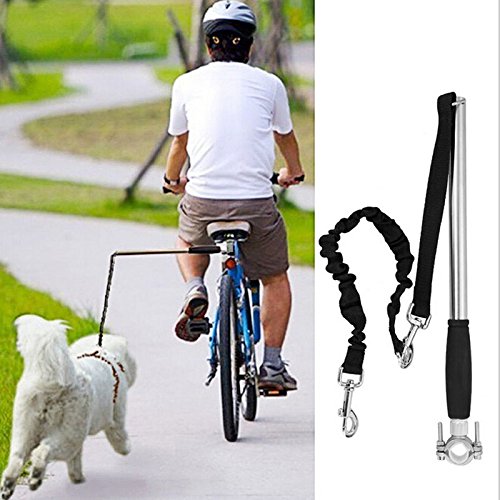 Tokenhigh Fahrrad Hund Gürtel Edelstahl Fahrrad Hunde Leine Pet Training Sport Führen Elastische Hundeleine,Hundetrainer für Fahrräder,sicheres Radfahren mit Ihrem Hund Tokenhigh Fahrrad Hund Gürtel Edelstahl Fahrrad Hunde Leine Pet Training Sport Führen Elastische Hundeleine,Hundetrainer für Fahrräder,sicheres Radfahren mit Ihrem Hund von Tokenhigh