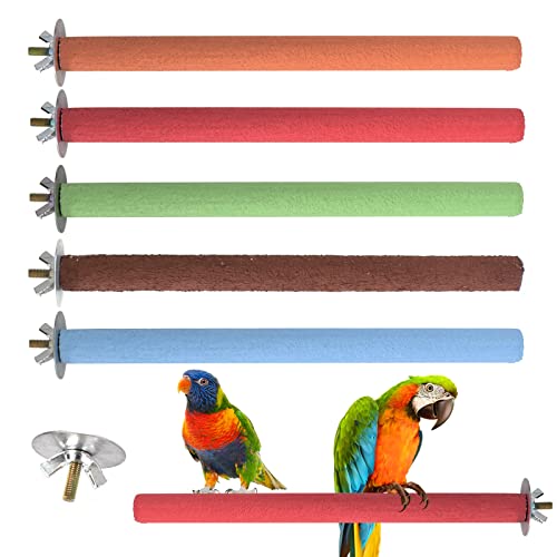 5 Stück Vogelstangen Stehen Plattformen Spielzeug Bunter Papageienstangen aus Holz für Käfig Birdcage Playground Claw Grinding Stick Trainings, mit 10 Unterlegscheiben und 5 Flügelmuttern 5 Stück Vogelstangen Stehen Plattformen Spielzeug Bunter Papageienstangen aus Holz für Käfig Birdcage Playground Claw Grinding Stick Trainings, mit 10 Unterlegscheiben und 5 Flügelmuttern von Tolenre