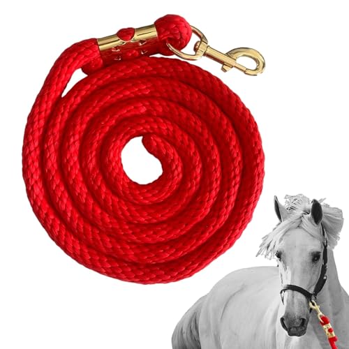 Führleine Lang Walking Leine Starke Schnur Pferdetrainingsseil 2.0 m Führstrick mit Schnappverschluss Reitleine Halfter Training für Reitsport Effektive Kontrolle Führleine Lang Walking Leine Starke Schnur Pferdetrainingsseil 2.0 m Führstrick mit Schnappverschluss Reitleine Halfter Training für Reitsport Effektive Kontrolle von Toliya