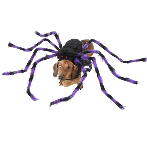 Spinnen-Outfit für Hund – Pelziges Riesenspinnen-Kostüm für Hund Katze – verstellbares Halloween-Kostüm für Hunde und Katzen, Verkleidungszubehör Spinnen-Outfit für Hund – Pelziges Riesenspinnen-Kostüm für Hund Katze – verstellbares Halloween-Kostüm für Hunde und Katzen, Verkleidungszubehör von Toliya