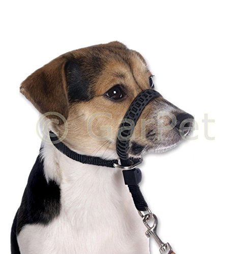 Tommi Erziehungsgeschirr Ausbildungshalfter Halfter Maulschlaufe (M) für Hunde, Schwarz, Größe S, M, L von Tommi