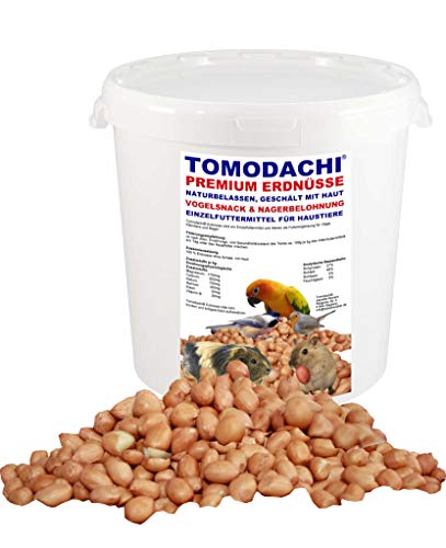 Tomodachi Erdnüsse, Wildvogelfutter, Vogelsnack für heimische Singvögel, Vogelbelohnung energiereiches Vogelfutter, geschälte Erdnüsse mit Haut, Naturprodukt, Premium Erdnüsse 3kg Eimer von Tomodachi