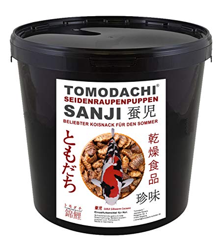 Tomodachi Seidenraupenpuppen, Silkworm, Naturnahrung getrocknet, Sanji Seidenraupen, beliebt, proteinreich, gesunder Koisnack für die Handfütterung im Sommer - Vitale, schöne, handzahme Koi 5L Eimer von Tomodachi