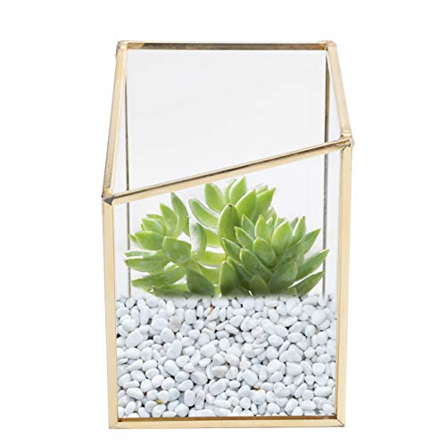 Geometrischer Mini Terrarium Behälter aus Glas, Moderner Tisch Pflanzgefäß Glas Blumentopf Pflanzen Display Vase für die Tischdekoration zu Hause von Tomotato