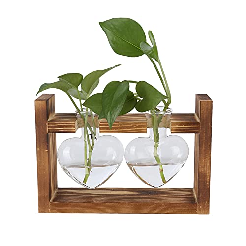Pflanzen Terrarium mit Holzständer, Pflanzen Vermehrung Stationen Herzförmige Transparente Tischvase für Hydrokulturpflanzen(B) von Tomotato