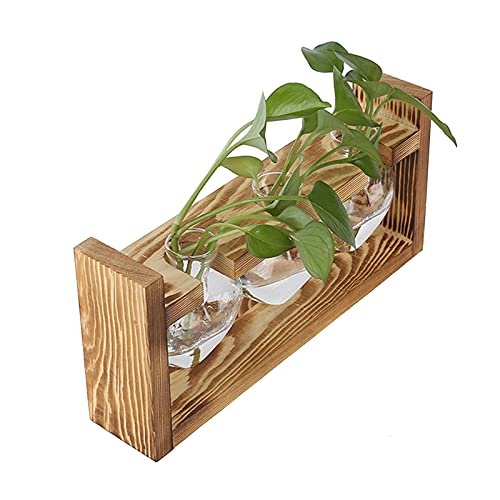 Pflanzen Terrarium mit Holzständer, Pflanzen Vermehrung Stationen Herzförmige Transparente Tischvase für Hydrokulturpflanzen(C) von Tomotato