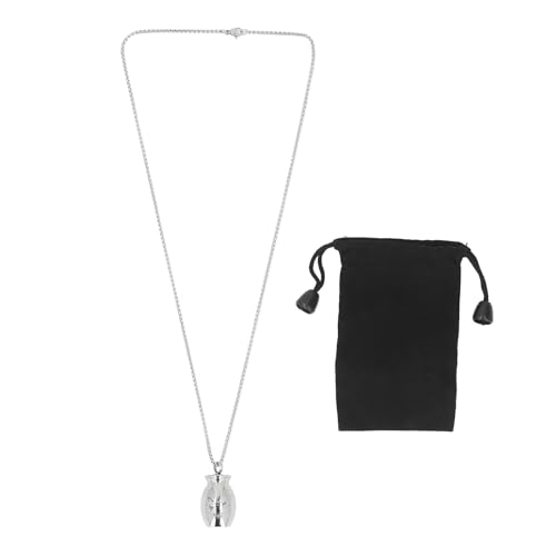 Tomotato Haustier Urnen Halskette für Hundekatze mit Aufbewahrungstasche Edelstahl Kleiner Haustier Asche Anhänger Memorial Keepsake Halskette für die Arbeitsschule (L (60 cm / 23,6 Zoll)) von Tomotato