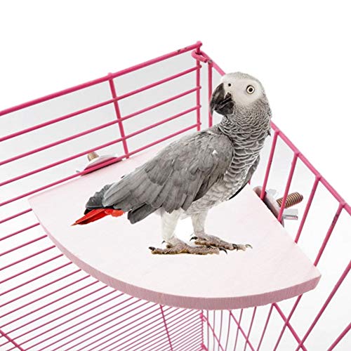 Tomotato Vogelkäfig Sitzstange Ständer, 2 Stücke Holz Fan Form Papagei Plattform Hamster Haustiere Käfige Plattform für Hamster Papagei Pet von Tomotato