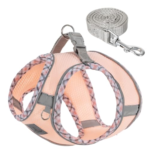 TomteNisse Hundegeschirr und Leine, kein Ziehen, Haustiergeschirr für kleine Hunde, leichtes Gehen, weich, atmungsaktiv, für kleine Hunde, verstellbar, reflektierend, für Welpen, Kätzchen, Katzen TomteNisse Hundegeschirr und Leine, kein Ziehen, Haustiergeschirr für kleine Hunde, leichtes Gehen, weich, atmungsaktiv, für kleine Hunde, verstellbar, reflektierend, für Welpen, Kätzchen, Katzen von TomteNisse