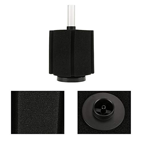 Tomvorks Aquarium-Schwammfilter, Hochwertig, Robust, Umweltfreundlich, Verbessert die Biologische Filterung, 4-teiliges Set für das Betta-Aquarium Tomvorks Aquarium-Schwammfilter, Hochwertig, Robust, Umweltfreundlich, Verbessert die Biologische Filterung, 4-teiliges Set für das Betta-Aquarium von Tomvorks