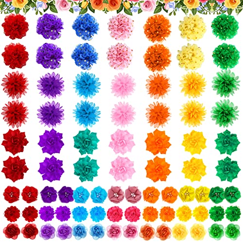 84 Stück Hundehalsband, Blumen, Haustierblumen, Fliegen, mehrfarbig, Hundeanhänger, Blumen, für Welpen, Hunde, Katzen, Haustierhalsband, Fellpflegezubehör, 6 Stile 84 Stück Hundehalsband, Blumen, Haustierblumen, Fliegen, mehrfarbig, Hundeanhänger, Blumen, für Welpen, Hunde, Katzen, Haustierhalsband, Fellpflegezubehör, 6 Stile von Tondiamo