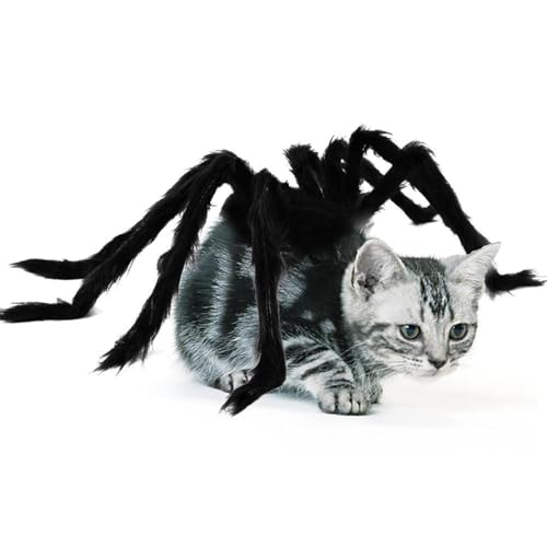Spinnenkostüm für Katzen, Cosplay-Kleidung, lustiges Horror-Hundebekleidung für Katzen und Hunde, Festival-Dekoration Spinnenkostüm für Katzen, Cosplay-Kleidung, lustiges Horror-Hundebekleidung für Katzen und Hunde, Festival-Dekoration von Tongfer