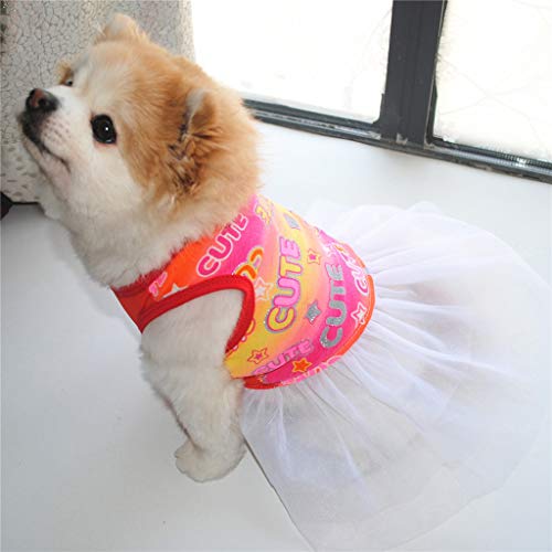 Hundekleid Luxus Welpenrock Hundekleidung Brief Kleidung Haustier Atmungsaktives Druckkleid Katzenkleid Hund Sommer Hund Haustierrock Kleiner Hund Kleidet Weibliche Chihuahua (Orange, XS) von Tonsee Accessoire