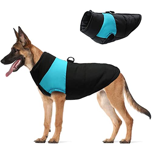 Hundemantel Kleine Haustier Hund Mantel Jacke Warme Hundekleidung Winter Hund Warme Baumwollweste Leichte Kleidung Rückenreißverschluss Haustier Outdoor Kostüm Hundemantel Türkis (Blau, XXXXL) von Tonsee Accessoire