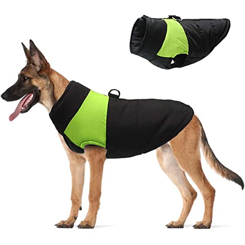 Hundemantel Kleine Haustier Hund Mantel Jacke Warme Hundekleidung Winter Hund Warme Baumwollweste Leichte Kleidung Rückenreißverschluss Haustier Outdoor Kostüm Hundemantel Türkis (Grün, XXXL) von Tonsee Accessoire