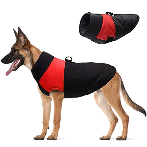 Hundemantel Kleine Haustier Hund Mantel Jacke Warme Hundekleidung Winter Hund Warme Baumwollweste Leichte Kleidung Rückenreißverschluss Haustier Outdoor Kostüm Hundemantel Türkis (Rot, XXXL) von Tonsee Accessoire