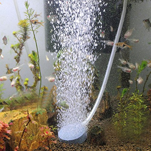 Tonsee Accessoire Bubble Belüfter Fischaquarium Hydrokulturpumpe 1xAir Oxygen Aquarium Zubehör Aquarien Zubehör-14 (As Shown, One Size) von Tonsee Accessoire