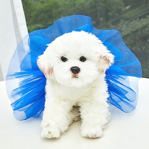 Tonsee Accessoire Hundekleid Welpenrock Hundeprinzessin Tüllrock, glitzernder Hunde-Trägerrock Seide, Prinzessinnen-Tüllrock, bunter Katzen- und Hunderock Große Hundekleider (Blau, L) von Tonsee Accessoire