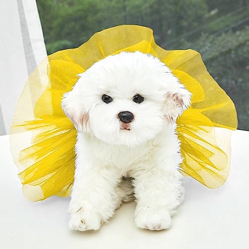 Tonsee Accessoire Hundekleid Welpenrock Hundeprinzessin Tüllrock, glitzernder Hunde-Trägerrock Seide, Prinzessinnen-Tüllrock, bunter Katzen- und Hunderock Große Hundekleider (Gelb, L) von Tonsee Accessoire