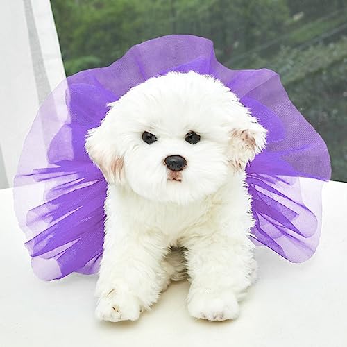 Tonsee Accessoire Hundekleid Welpenrock Hundeprinzessin Tüllrock, glitzernder Hunde-Trägerrock Seide, Prinzessinnen-Tüllrock, bunter Katzen- und Hunderock Große Hundekleider (Lila, L) von Tonsee Accessoire