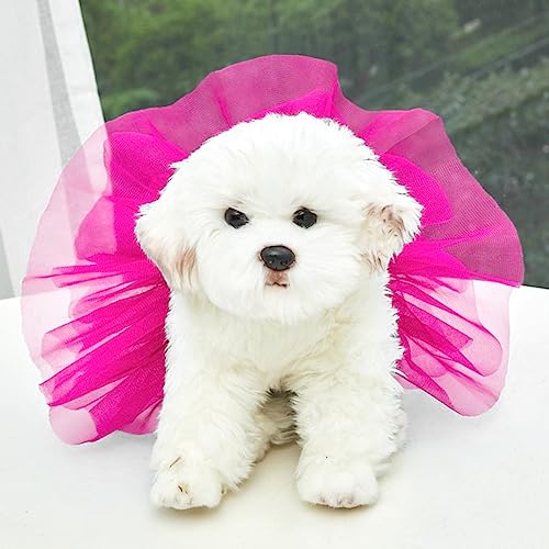 Tonsee Accessoire Hundekleid Welpenrock Hundeprinzessin Tüllrock, glitzernder Hunde-Trägerrock Seide, Prinzessinnen-Tüllrock, bunter Katzen- und Hunderock Große Hundekleider (Roserot, L) von Tonsee Accessoire