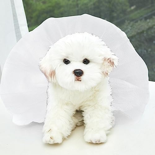 Tonsee Accessoire Hundekleid Welpenrock Hundeprinzessin Tüllrock, glitzernder Hunde-Trägerrock Seide, Prinzessinnen-Tüllrock, bunter Katzen- und Hunderock Große Hundekleider (Weiß, M) von Tonsee Accessoire