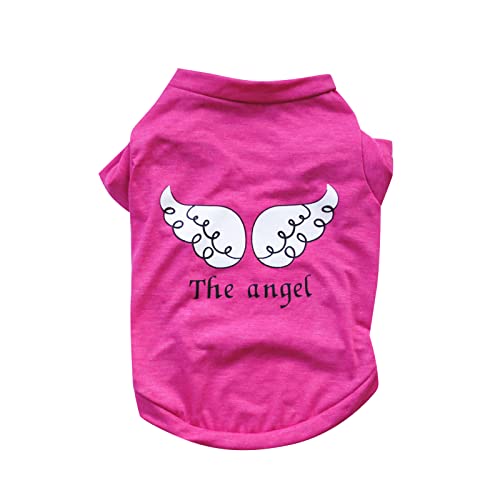 Tonsee Accessoire Hundepullover Katzenpullover Haustier Pullover für Katzen Hund Sommer dünne kurzärmelige Haustierkleidung für große, mittlere und kleine Hunde Hundemantel Winter Mit (Hot Pink, L) Tonsee Accessoire Hundepullover Katzenpullover Haustier Pullover für Katzen Hund Sommer dünne kurzärmelige Haustierkleidung für große, mittlere und kleine Hunde Hundemantel Winter Mit (Hot Pink, L) von Tonsee Accessoire